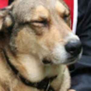 Meet your Posher, Adam